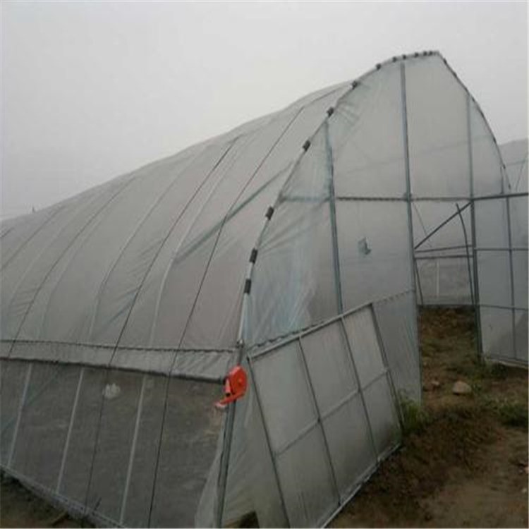 福建大棚薄膜供貨廠家與海鹽蔬菜大棚建設 旭航溫室打造專業(yè)農(nóng)業(yè)設施解決方案