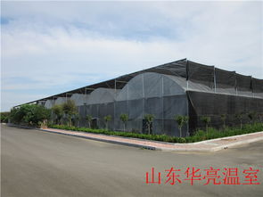 智能薄膜溫室 現(xiàn)代化農(nóng)業(yè)的優(yōu)選方案——以山東設(shè)計(jì)為例