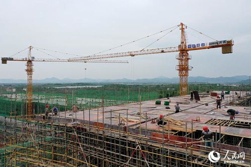 江西撫州加速建設大健康食品產業示范園，打造產業發展新高地